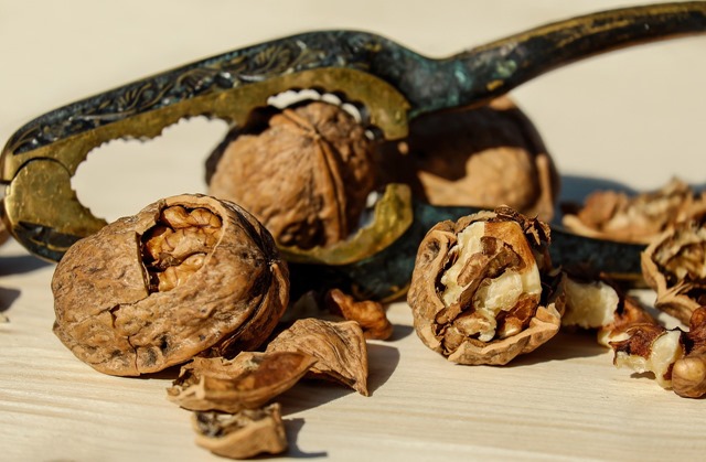 walnut-1751661_1280